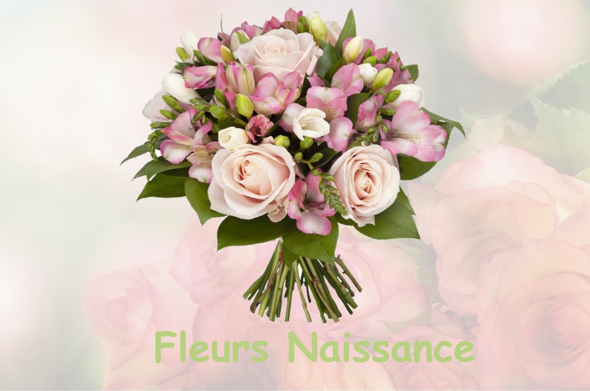 fleurs naissance SAINT-FELIX-DE-SORGUES
