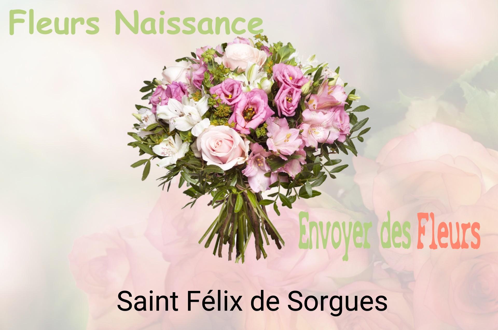 Bouquet de fleurs de naissance livré à Saint-Félix-de-Sorgues